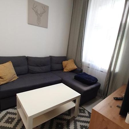 Apartament Na Kochanowskiego Stary Toruń Eksteriør billede